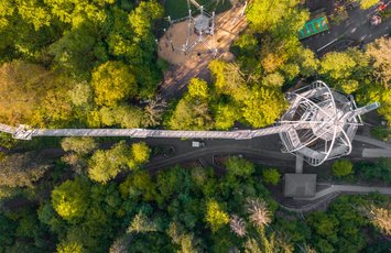 Tree top walk