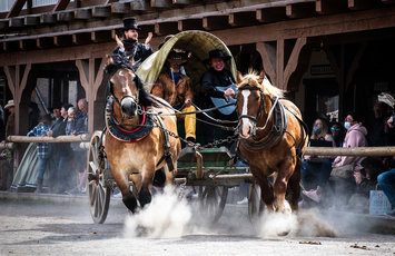 Pullman City Harz